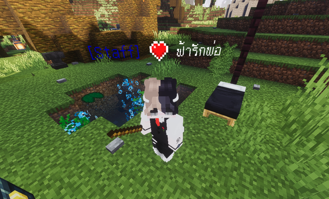 Player Honor - รูปที่ 1