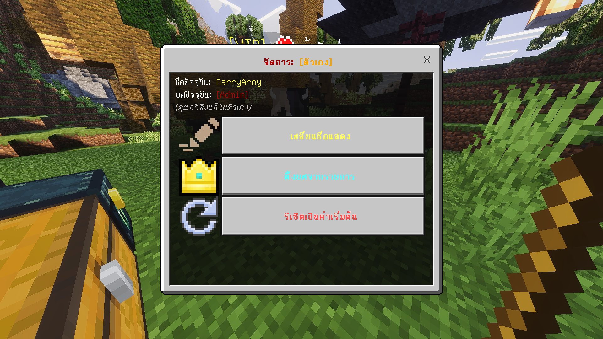 Player Honor - รูปย่อที่ 3